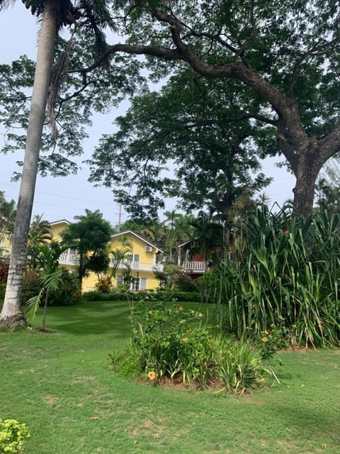 Guango Grove Cozy Corner Condo in Montego Bay