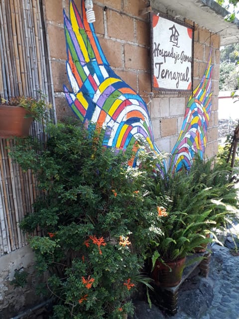 Temazcal casa gema Inn in Tepoztlan