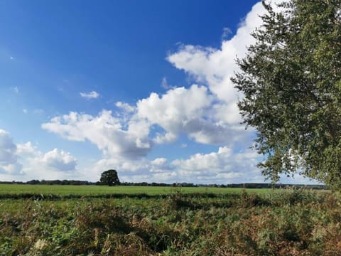 Ferienwohnung Traumzeit Wohnung in Trassenheide