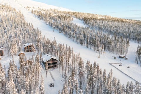 Day, Bird's eye view, Mountain view