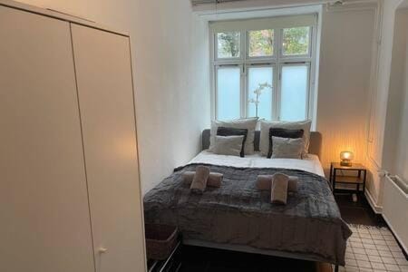 2 BR Flat in Heart of Vesterbro Apartment in Frederiksberg