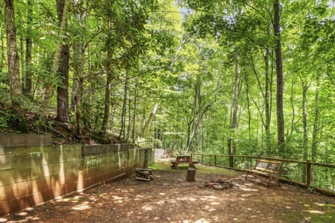 Serene Forest View- Hot Tub- Pet Friendly With Fenced Yard House in Pittman Center