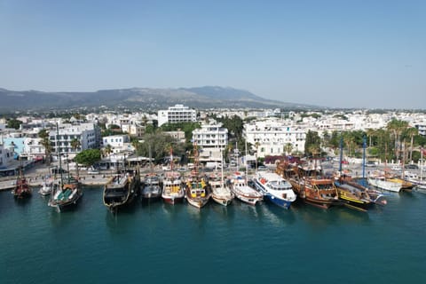 Nearby landmark, Day, Natural landscape, Bird's eye view