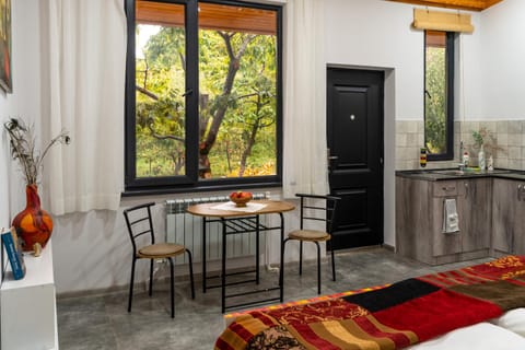 Kitchen or kitchenette, Photo of the whole room, Seating area, Dining area