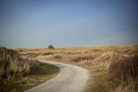 Weidevilla 14 auf Ameland Apartamento in Netherlands