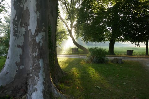 Garden, Area and facilities