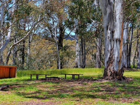 Cabin 3 - Snowy Accommodation House in Adaminaby