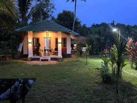 Property building, Patio, Night, Natural landscape, Garden