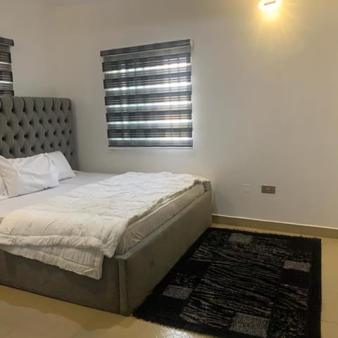 Ace shortlet apartment Condo in Abuja