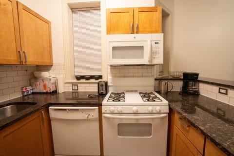 Modern 4BR in Hyde Park, Walk to University Apartment in Chicago