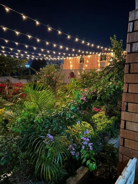 Night, Garden, Garden view