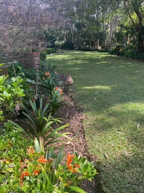 Glenridge, a private apartment set in the bush Condo in Wollongong