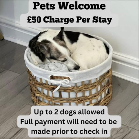 Pets, pet friendly