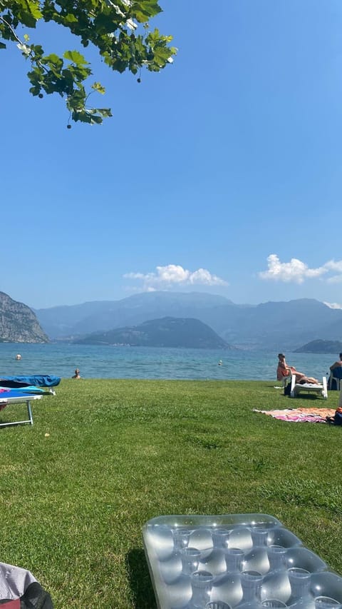 Garden, Beach