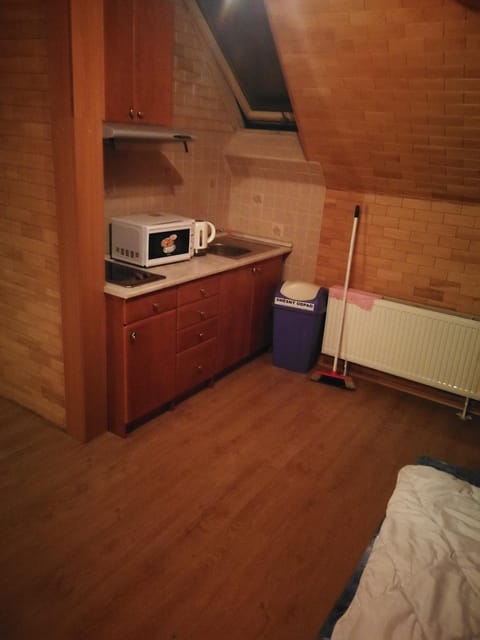 Kitchen or kitchenette, minibar, stove