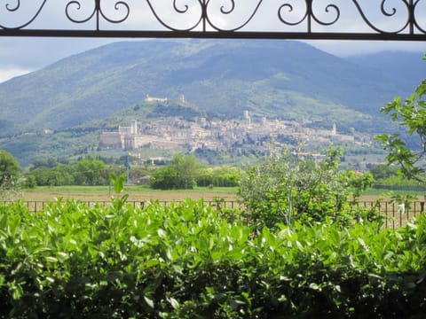 Nearby landmark, Natural landscape, City view, Landmark view, Mountain view