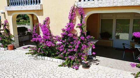 Patio, Sea view