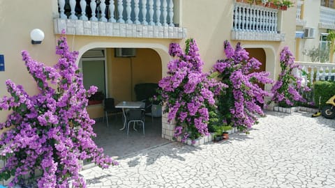 Garden, Balcony/Terrace