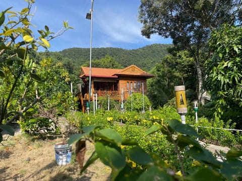 Property building, Natural landscape, Garden view, Mountain view