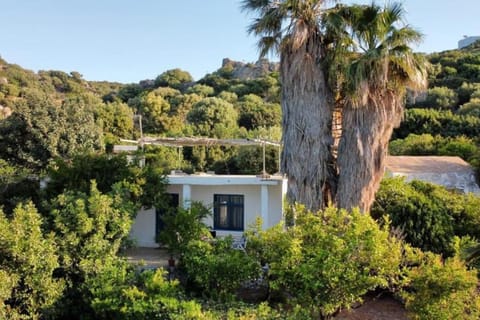 Dimitris family house House in Crete