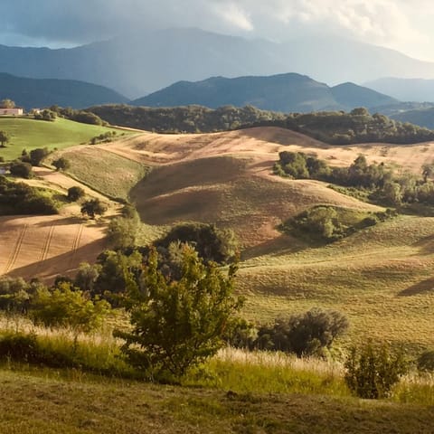 Agriturismo Il Fienile di Cà Battista Apartment in Umbria