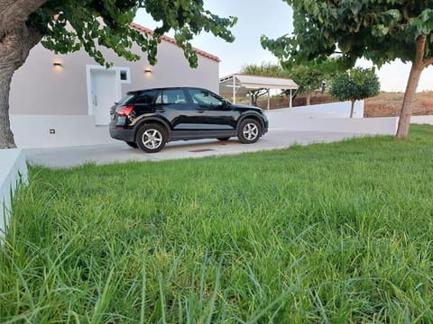 Day, Garden, Garden view, Parking