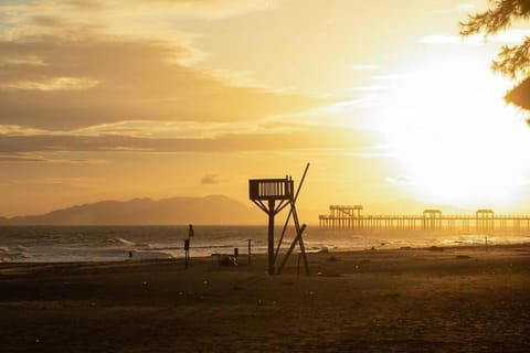 Beach, Sea view, Sunset