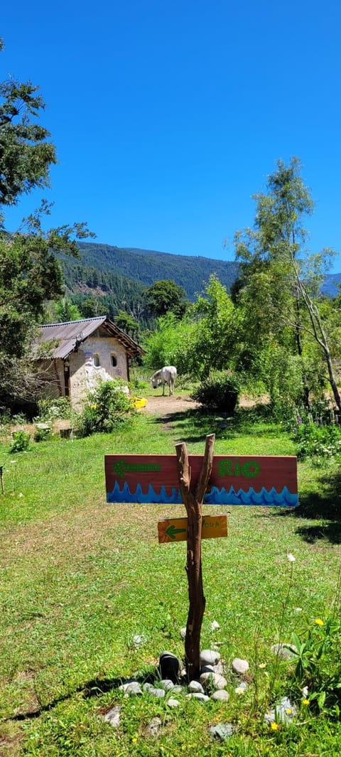 Natural landscape, Garden view, Garden view, Mountain view