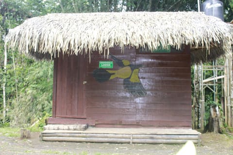 Shayari Lodge Nature lodge in Napo, Ecuador