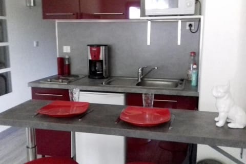 Coffee/tea facilities, Kitchen or kitchenette, minibar, stove