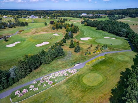 Day, Natural landscape, Bird's eye view, Golfcourse