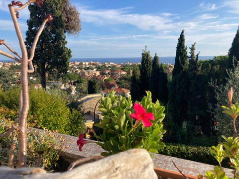 Sea view