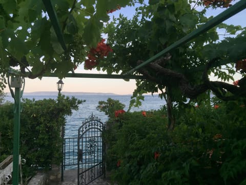 Garden, Beach