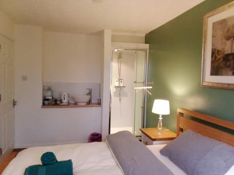 1 Luxurious Double Bedroom with Private Shower Vacation rental in Reading