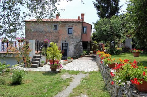 Property building, Garden view