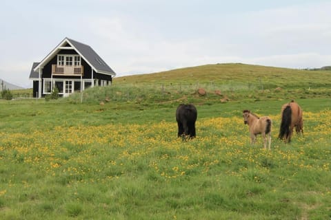 Efri-Rauðilækur in Hörgársveit House in Northeastern Region