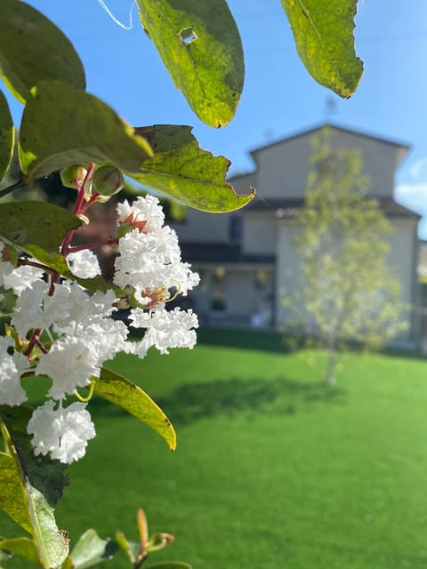 Property building, Garden, Garden view