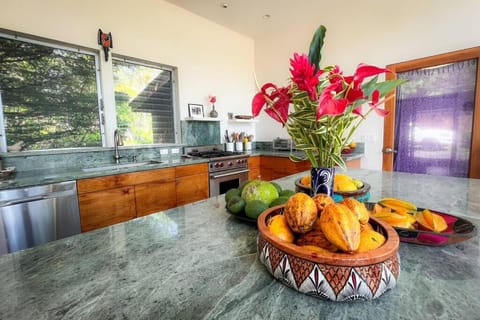 Oceanside Glass Villa on Three Gorgeous Acres! Chalet in Big Island
