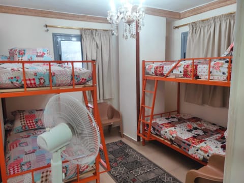 Youth Palace Hostel هوستل قصر الشباب Hostel in Alexandria