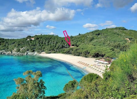 Nearby landmark, Natural landscape, Beach