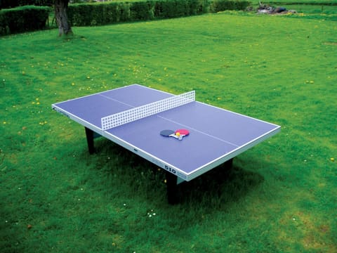 Table tennis