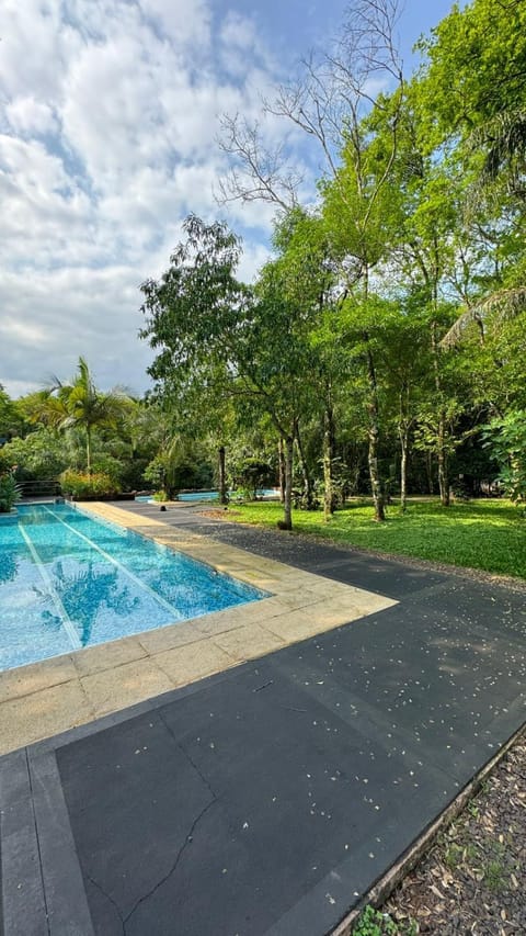 Natural landscape, Garden, Pool view