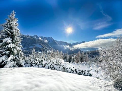 Day, Natural landscape, Winter, Mountain view