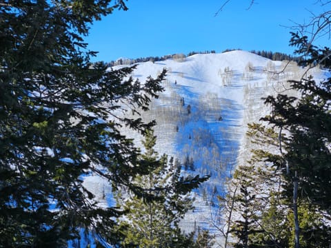 Stunning at Solitude, Steps from Chair Lift, East #103 Apartment in Wasatch County