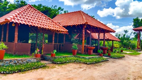 Property building, Spring, Day, Natural landscape, Garden, Garden view