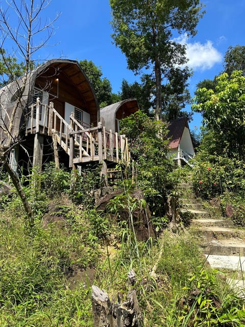 Nest Jungle Hostel in Sihanoukville