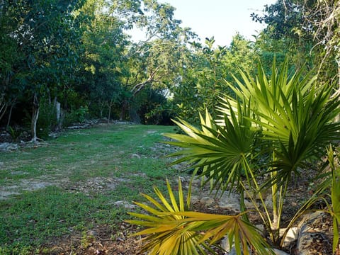 Reserva ecológica Santa Clara Nature lodge in State of Quintana Roo