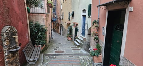 Neighbourhood, Street view