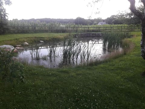 Gîte aménagé grand confort Apartamento in Bagnoles de l'Orne Normandie