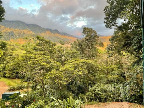 Jungle Passion Lodge Nature lodge in Bahía Ballena